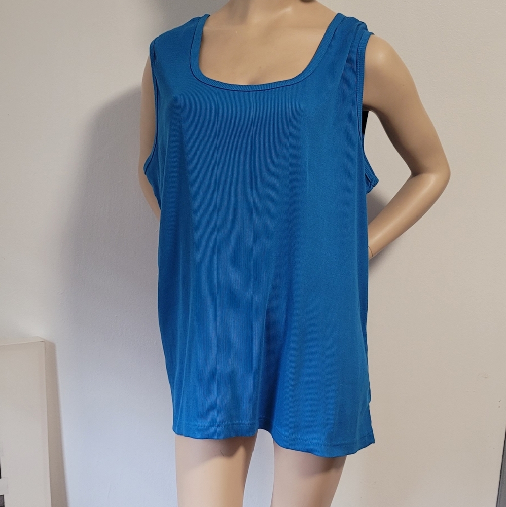 Roaman's Blue Cotton Blend Top